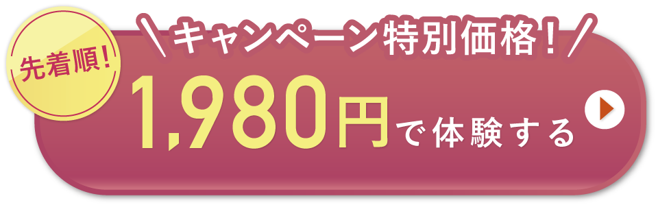 オープン特別価格1,980円で体験する