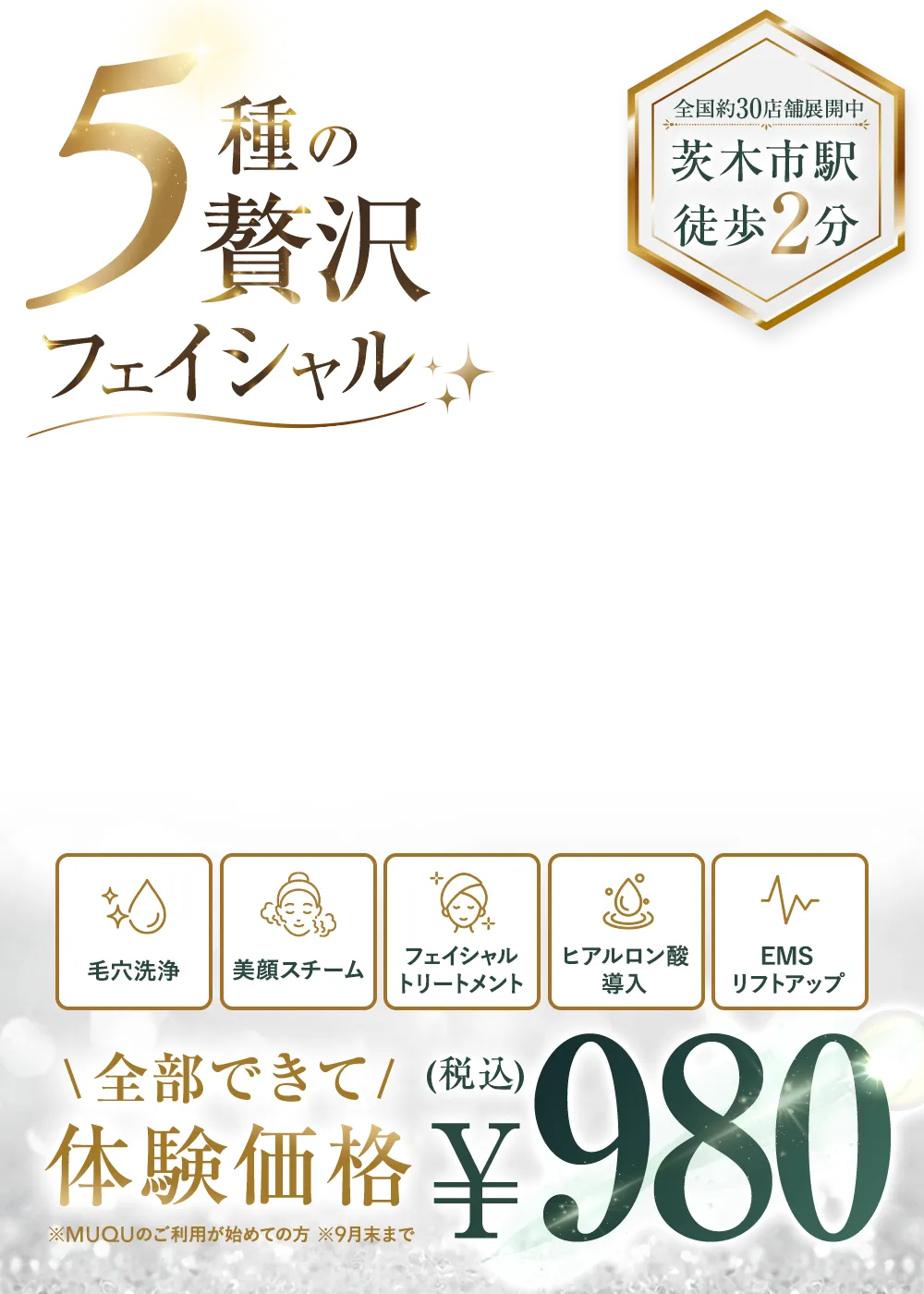 5種の贅沢フェイシャル