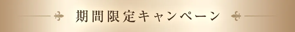 期間限定キャンペーン