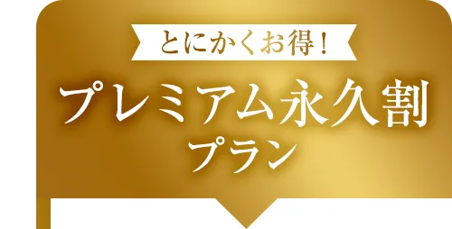 プレミアム永久割プラン