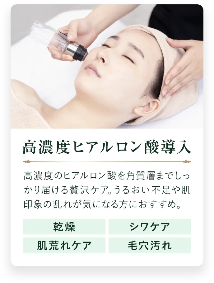 高濃度ヒアルロン酸導入