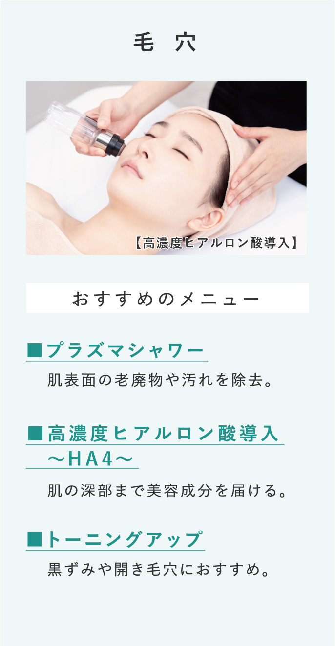 毛穴メニュー